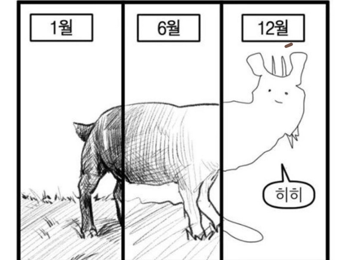 블라인드 | 블라블라: 히히