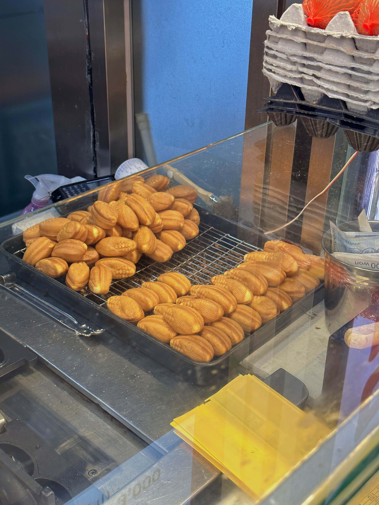 블라인드 | 블라블라: 델리만쥬