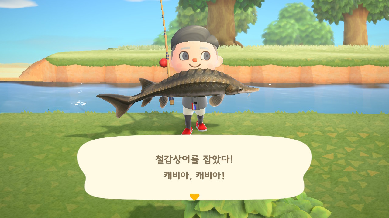 블라인드 | 게임: 동물의숲