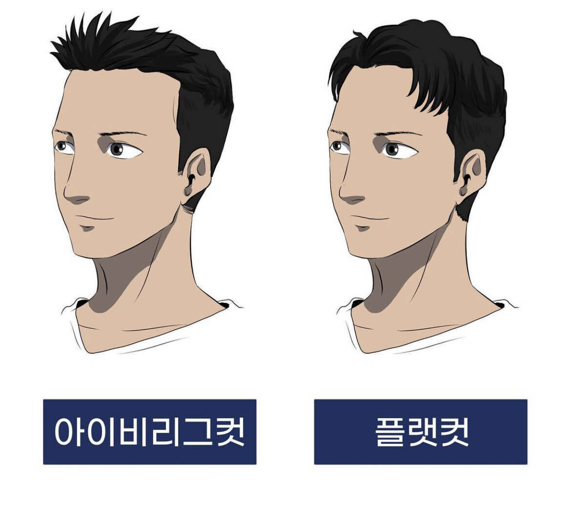 블라인드 | 패션·뷰티: 남자 투구벌레머리스타일 뭔지아시나여