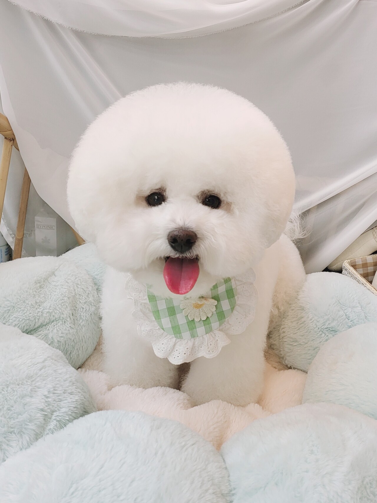 블라인드 | 블라블라: 미용 하이바컷이 낳냐? 귀툭컷이 낳냐?