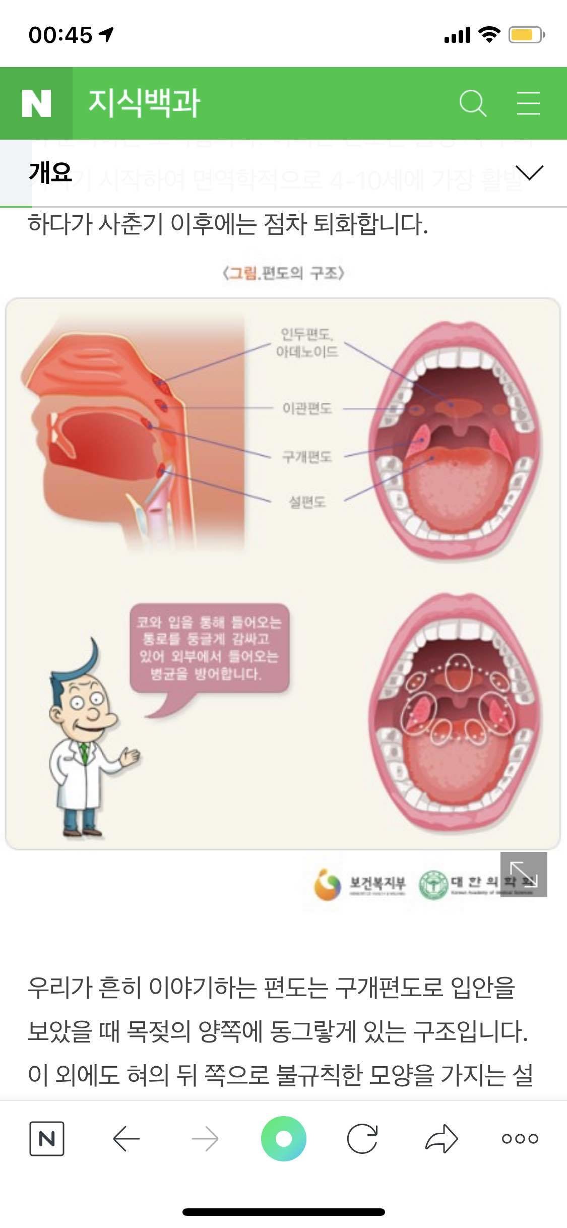 블라인드 | 블라블라: 구개 편도...?란곳에 여드름처럼 염증이보이는데 이런적 있는사람ㅠ
