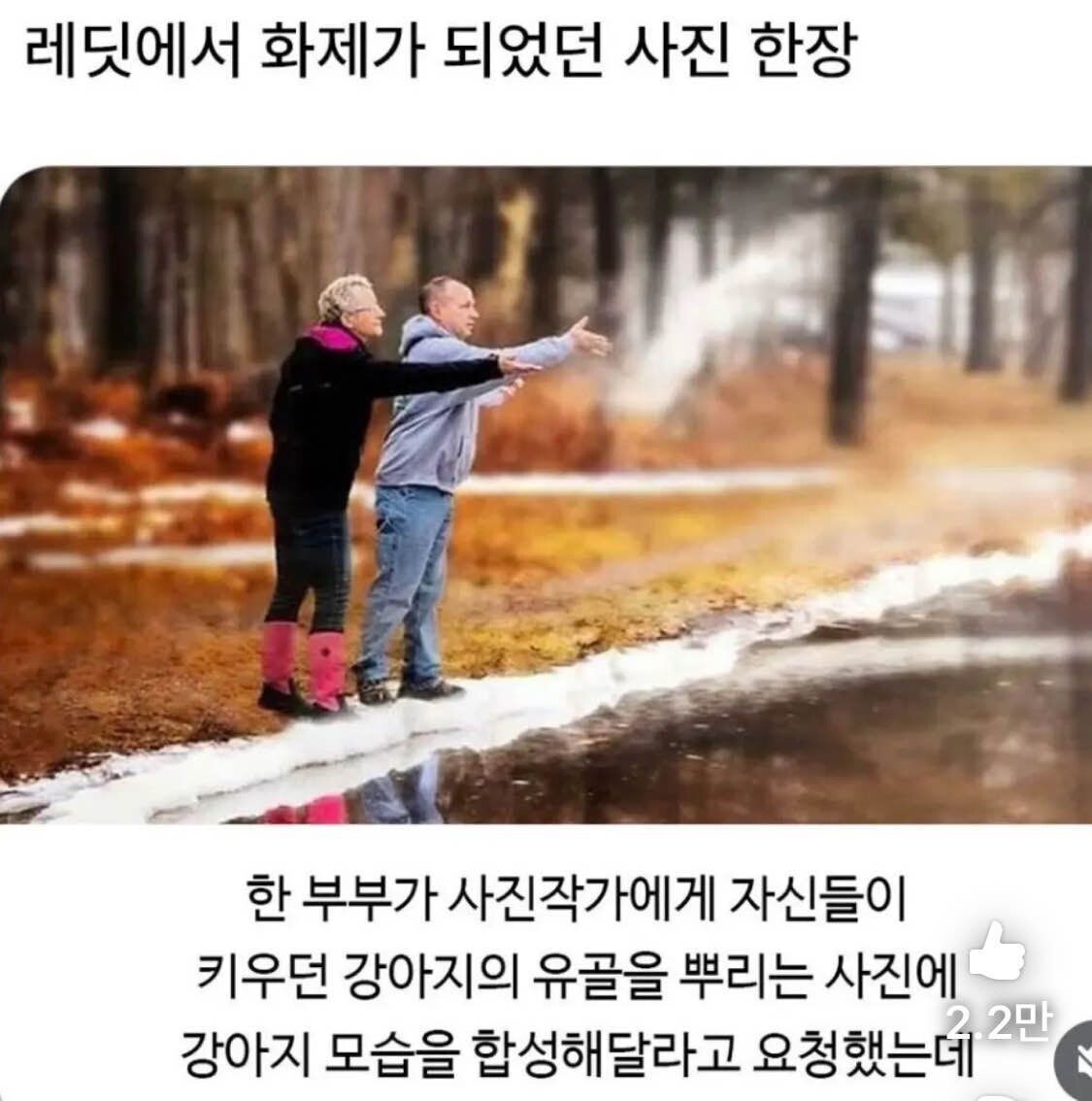 블라인드 | 반려동물: 아침 변소에서 이거 보다 울었다 ㅠ