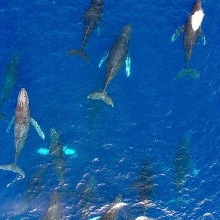 I am poor after reading all Blind post - Blind