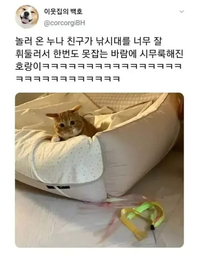 냥무룩