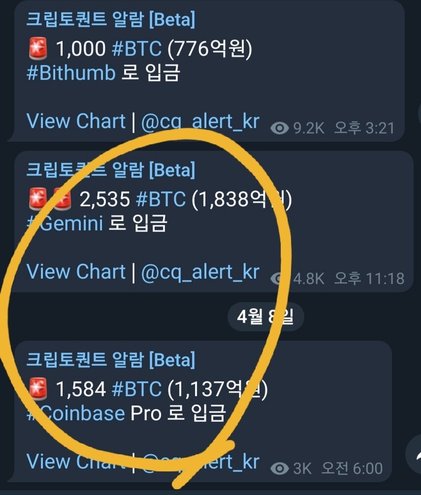 블라인드 | 암호화폐: 고래 비트 이동사항