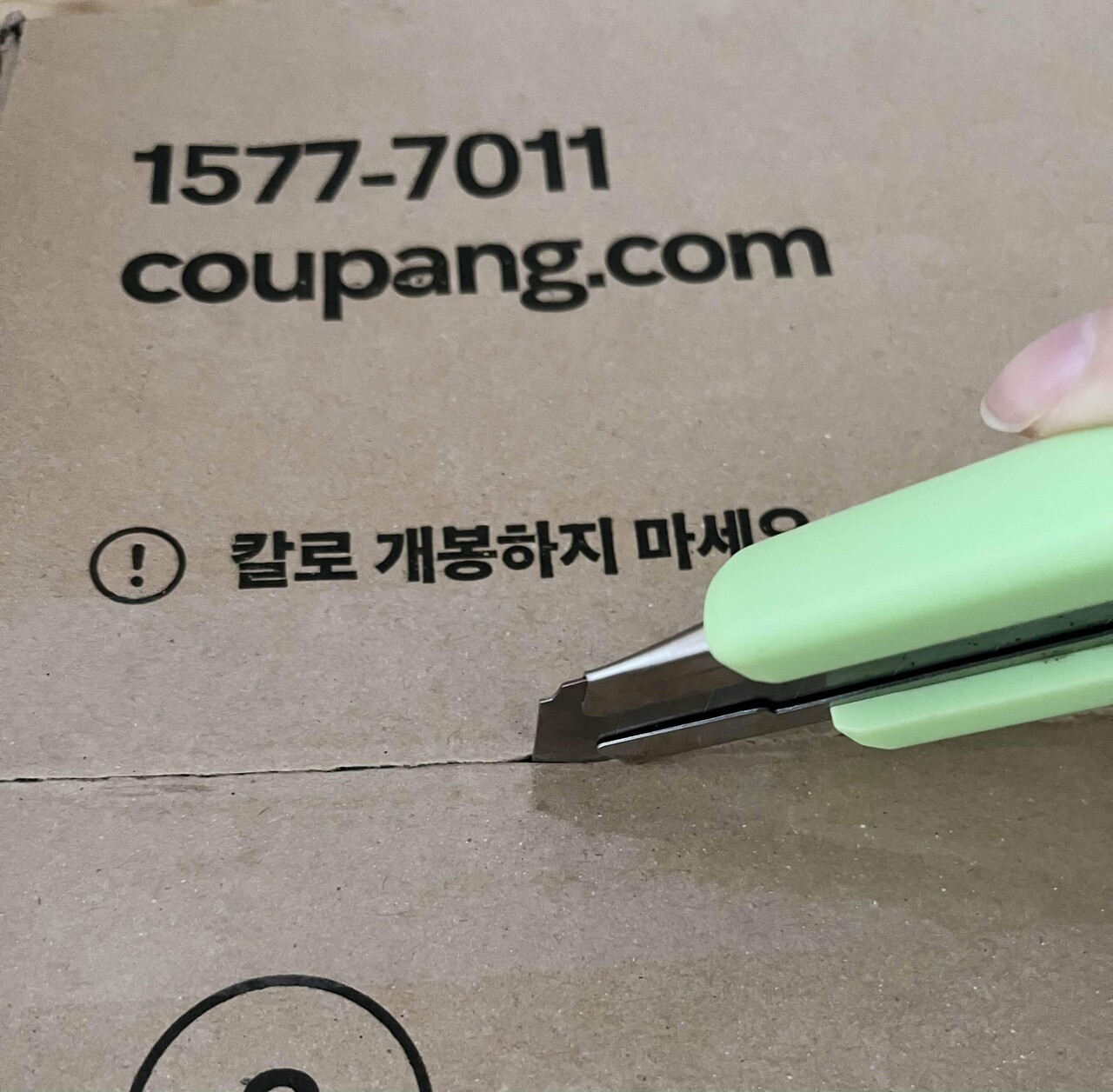 블라인드 | 블라블라: 메롱