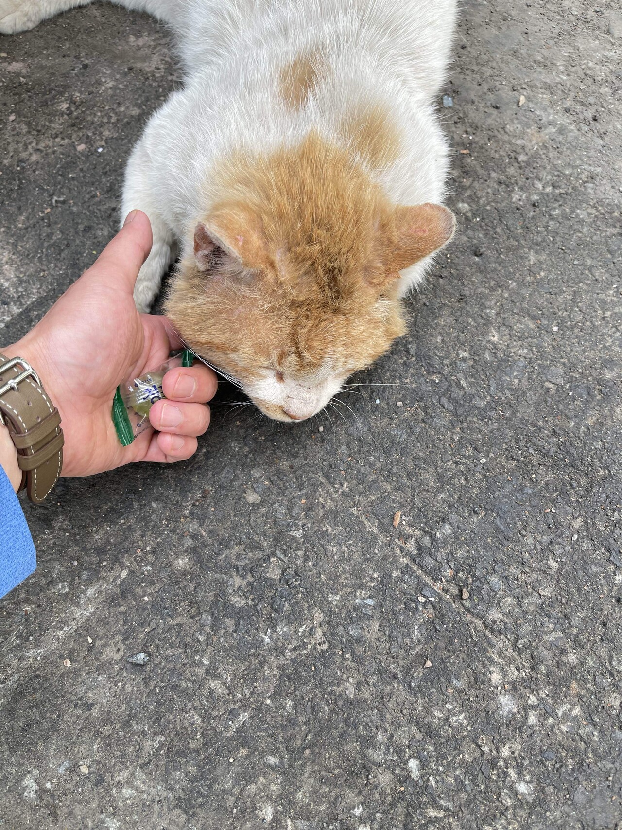 꼬질이👷🏻‍♂️