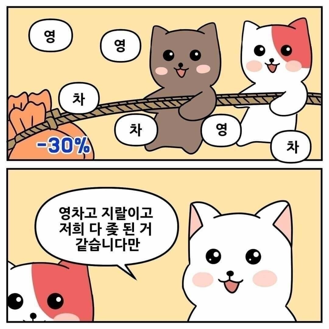 블라인드 | 암호화폐: 영차영차