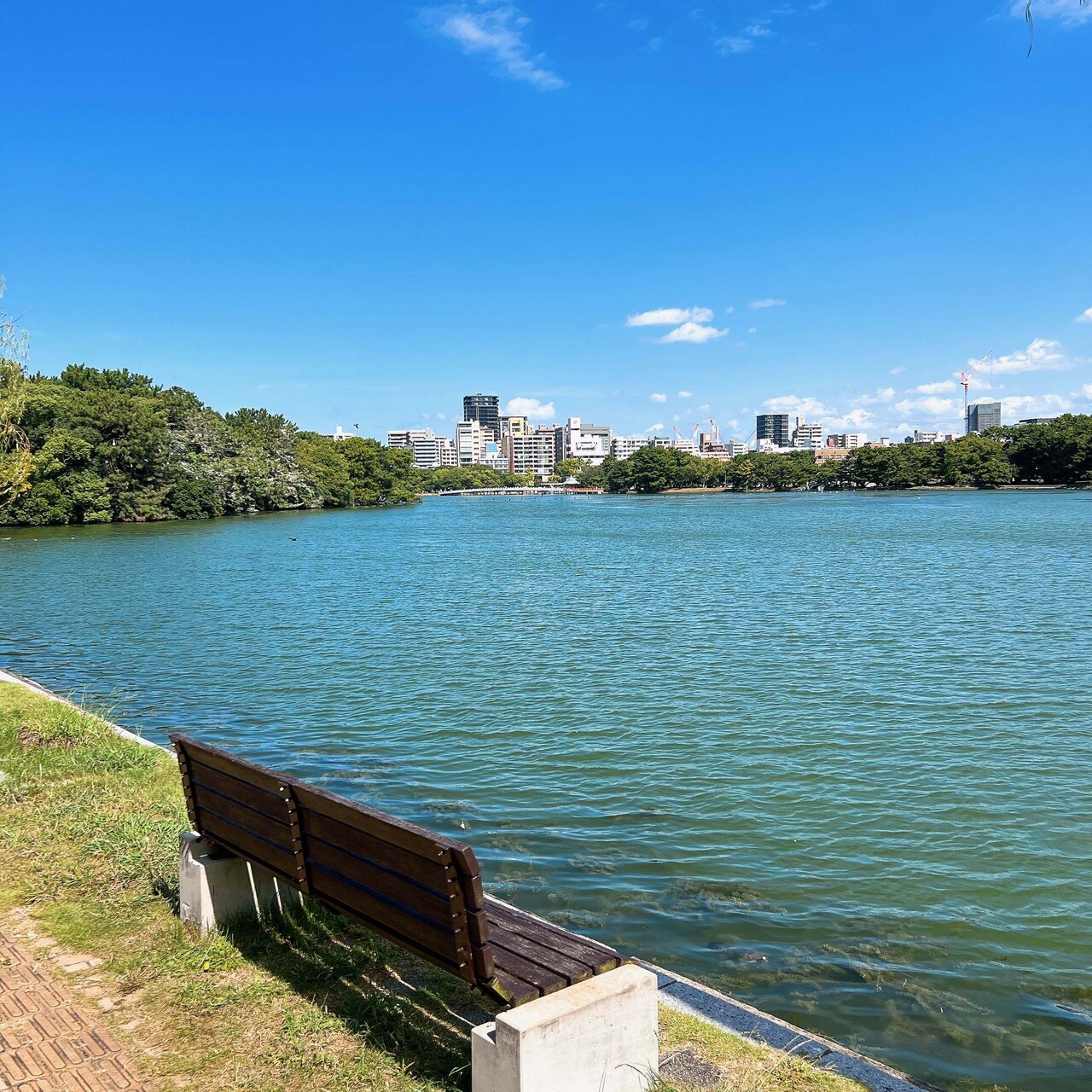 블라인드 | 여행·먹방: 후쿠오카 혼자 여행중인데