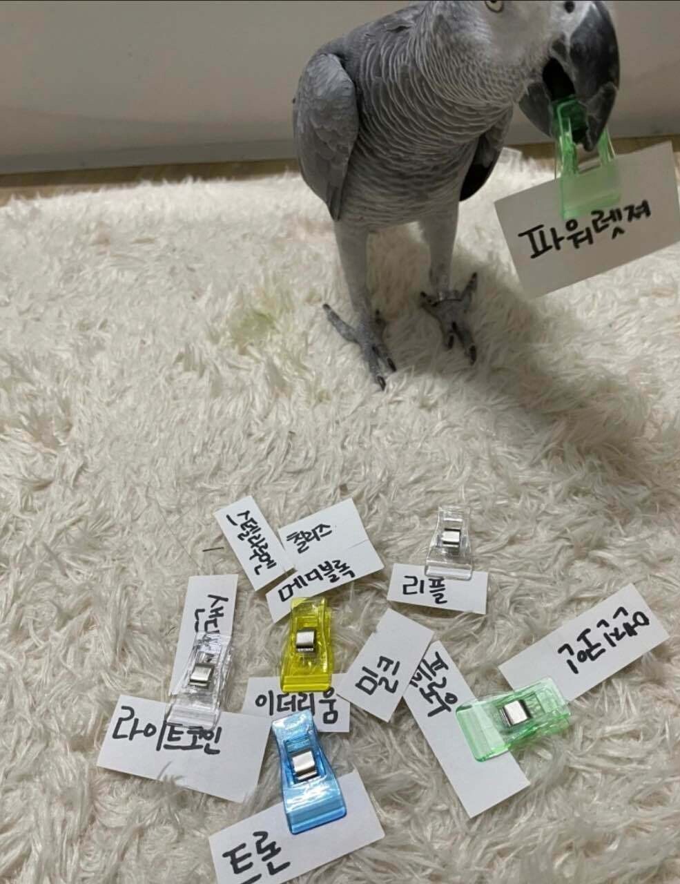 블라인드 | 암호화폐: 아 개고수..