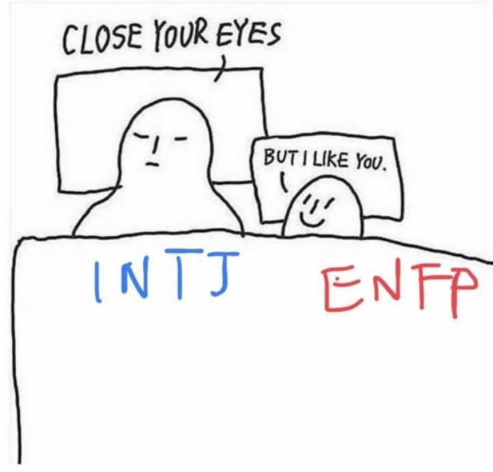 블라인드 블라블라 Enfp랑 Intj 궁합 블라인드 블라블라 Enfp랑 Intj 궁합
