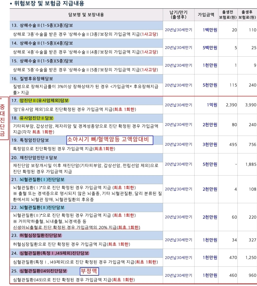 [22주 4일차] 태아보험 가입 숙제 드디어 끝! (꼼꼼분석, 다이렉트 vs 설계사, 선택기준)