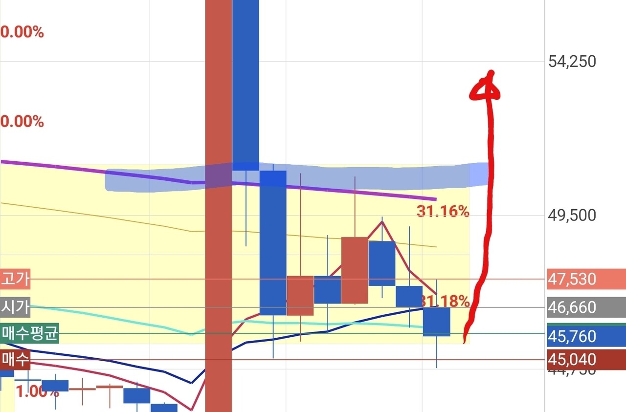 블라인드 | 암호화폐: 스붕이(BSV)관전 포인트