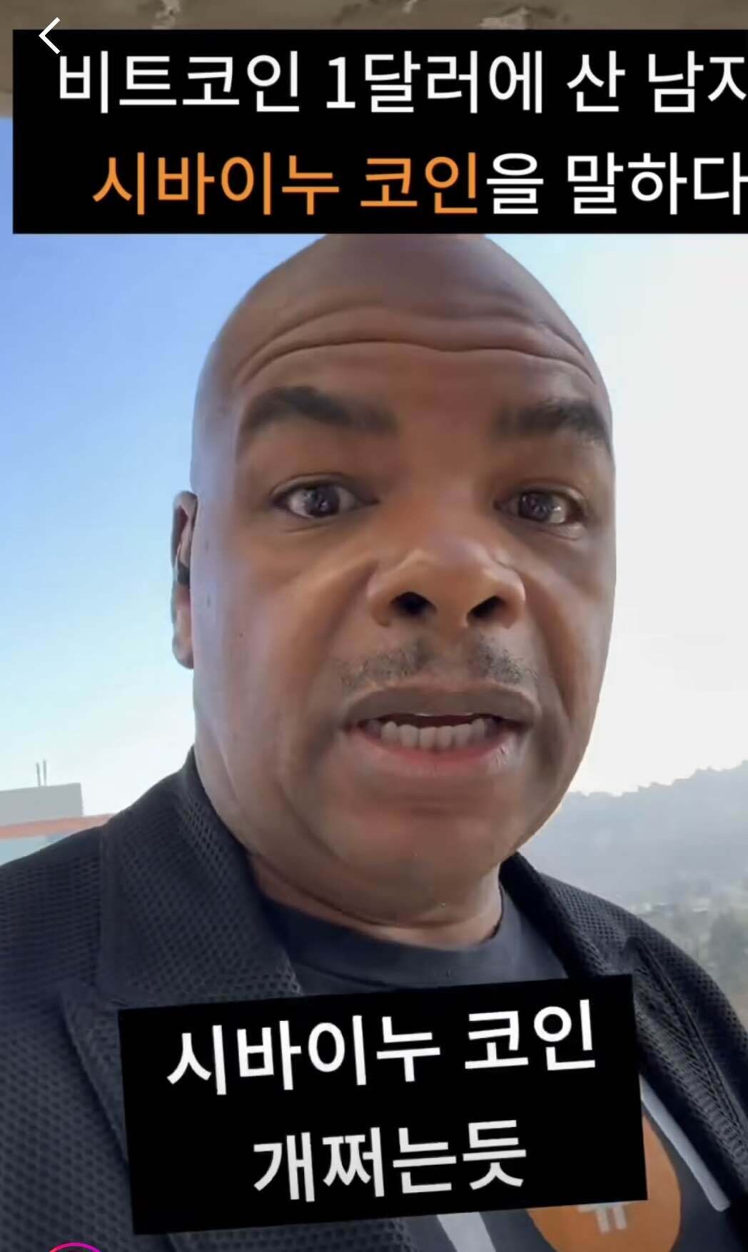 블라인드 | 암호화폐: 시바이누 미리 담궈놔라