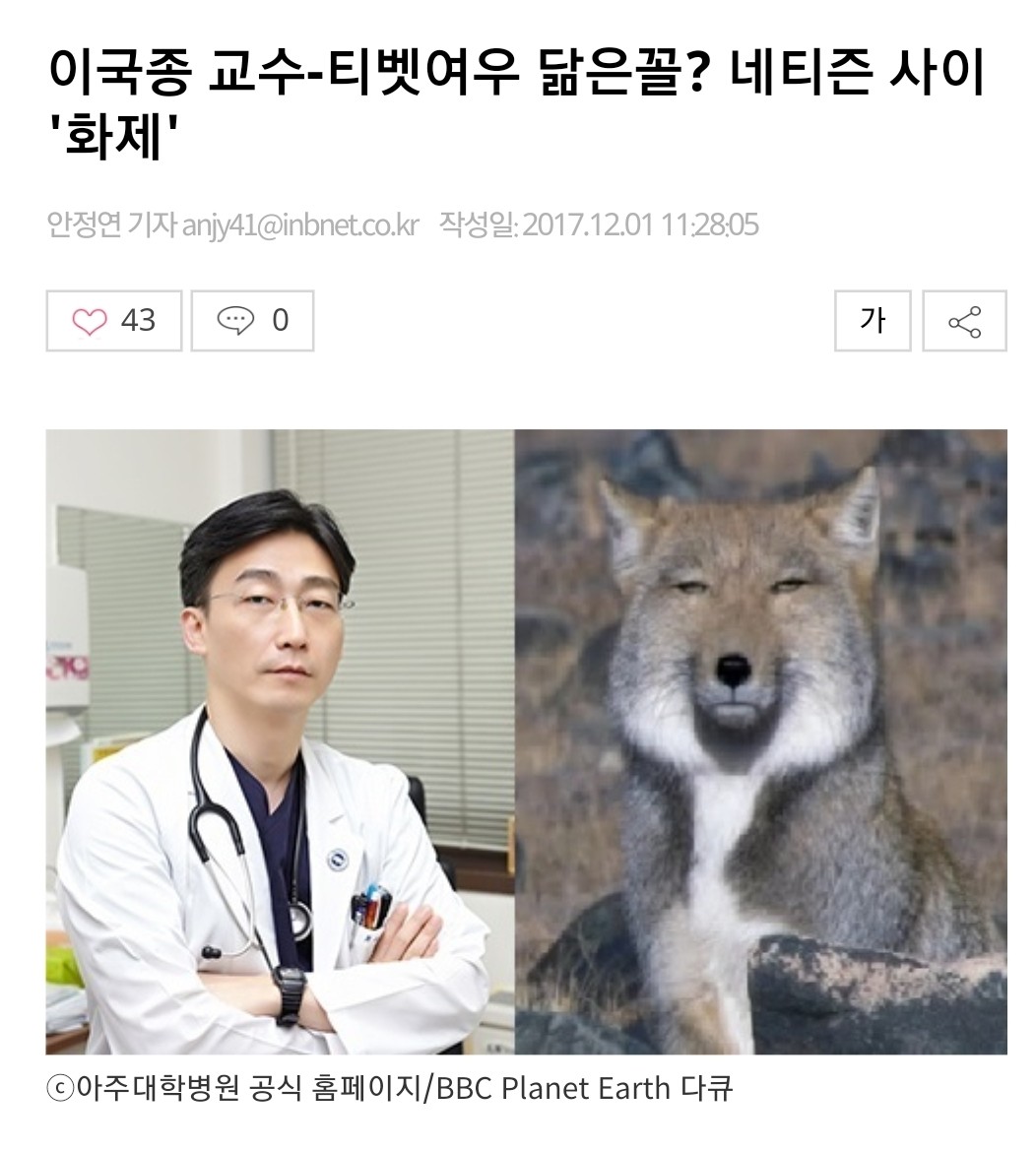 블라인드 | 블라블라: 여우상이란게