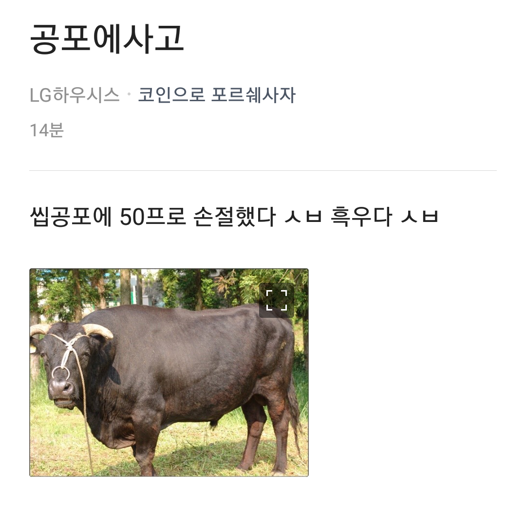 블라인드 | 암호화폐: 신규 흑두가 몰리기 시작했다