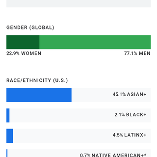 Google Diversity Blind
