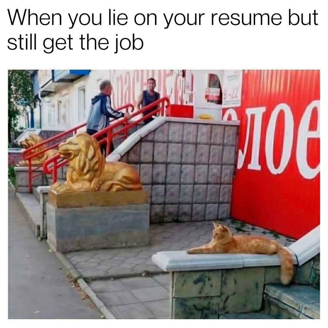 Lied on Resume?