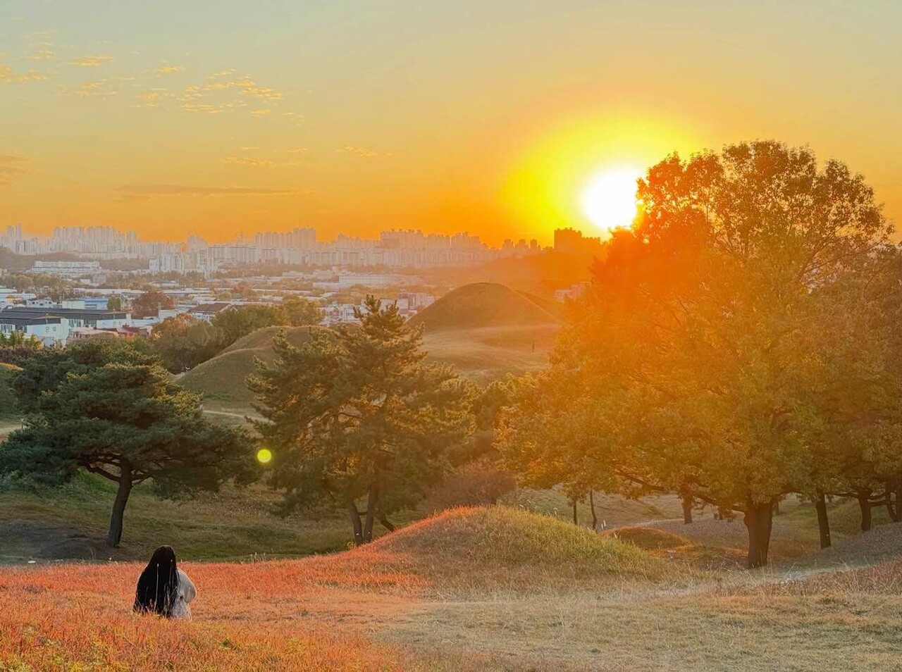 블라인드 | 대구경북 이야기✨️: 대구 고분공원