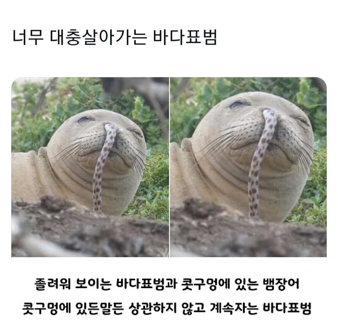 블라인드 | 블라블라: 대충살자