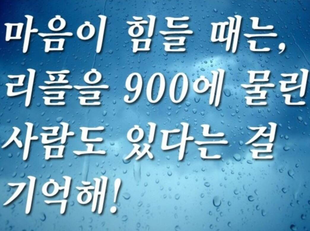 리플 900 원 (87) 사진
