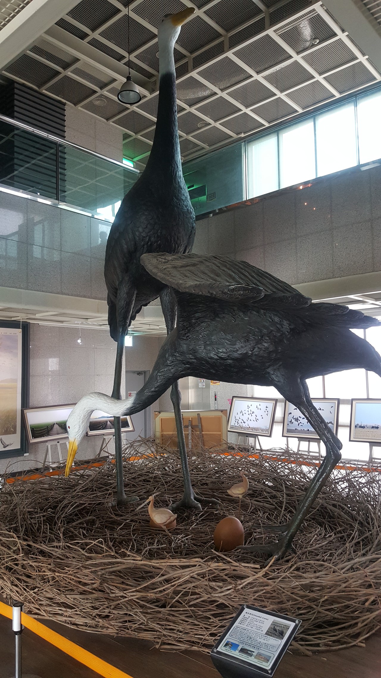 블라인드 | 암호화폐: 잔인한 사람