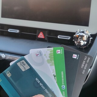 전기차 오너 꿀팁 드림