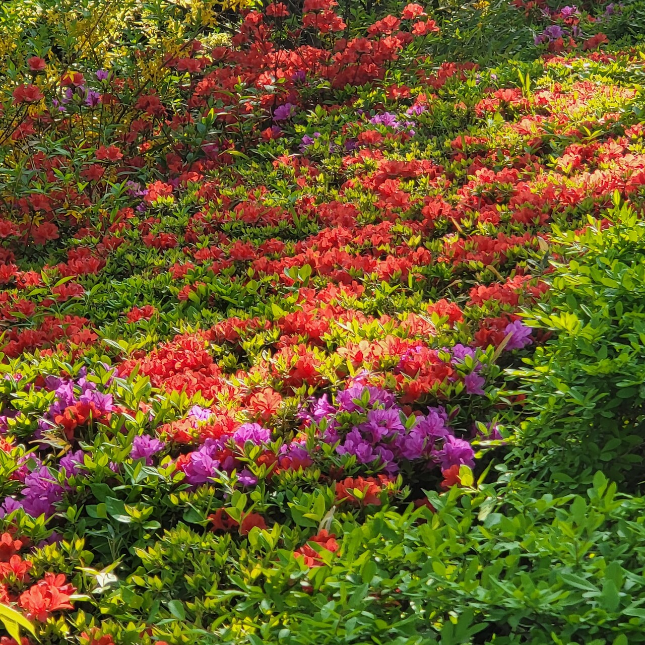숨죽이는 숨죽이는 숨죽이는