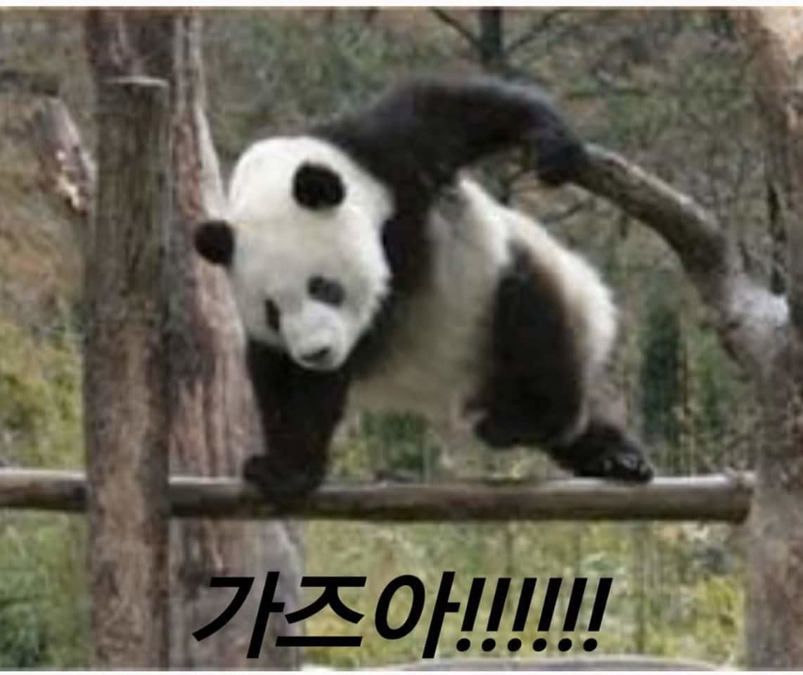 블라인드 | 암호화폐: 리플ㅡ강제존버