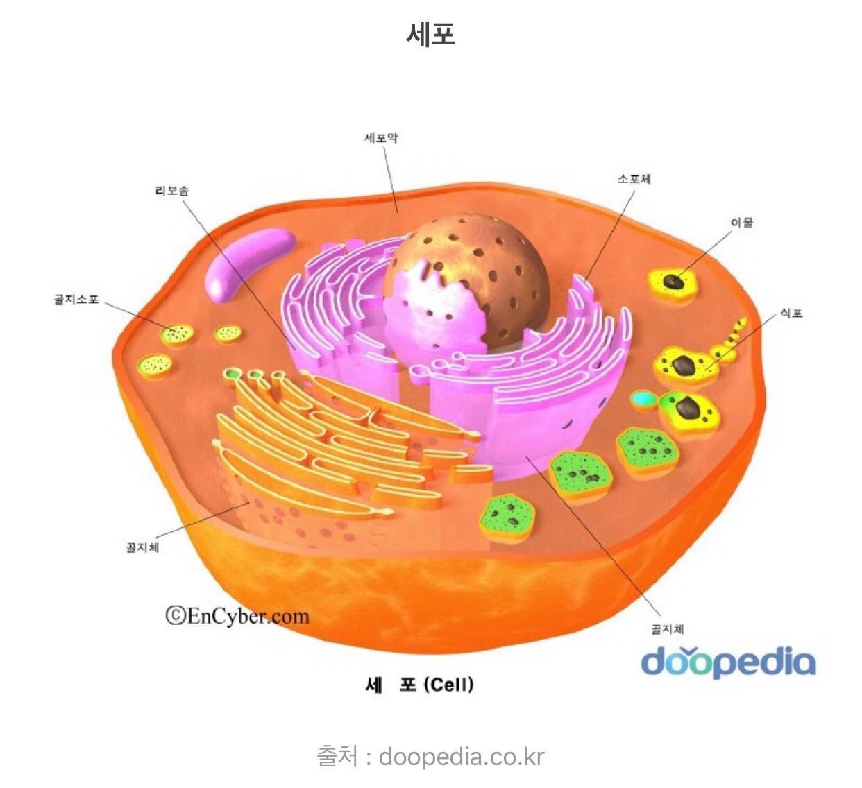 블라인드 | 썸·연애: 셀 소합니다.
