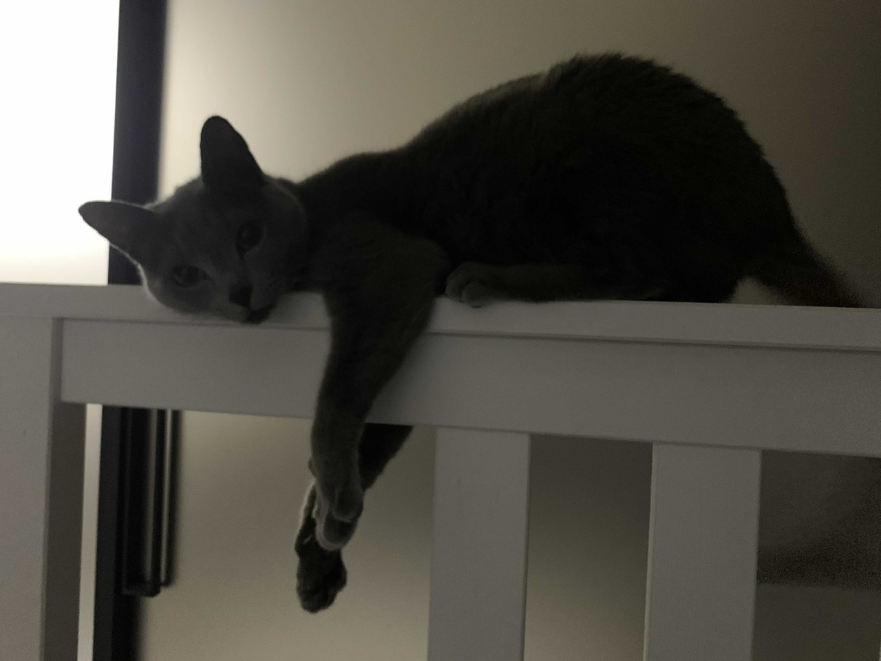 블라인드 | 블라블라: 떼깔룩