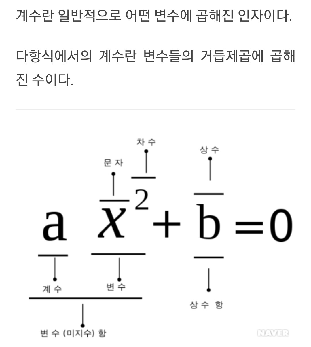 블라인드 | 블라블라: 나 수학 공부시작했는데... 지수랑 차수랑 계수랑 상수랑 차이가뭐야...?