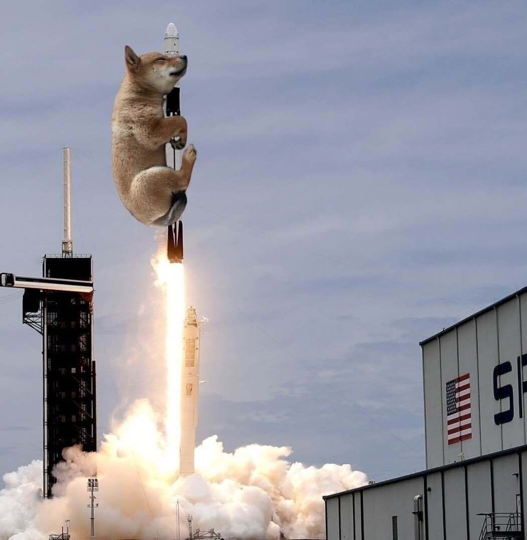 블라인드 | 암호화폐: 시바가 곧 도달 할 지점