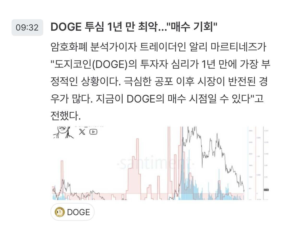 블라인드 | 암호화폐: 도지코인 매수기회