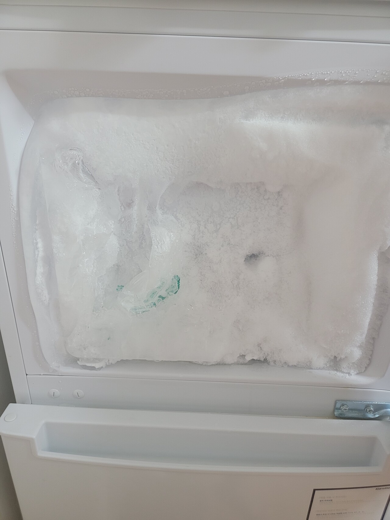 블라인드 | 블라블라: 일주일 집 비우고 들어갔는데