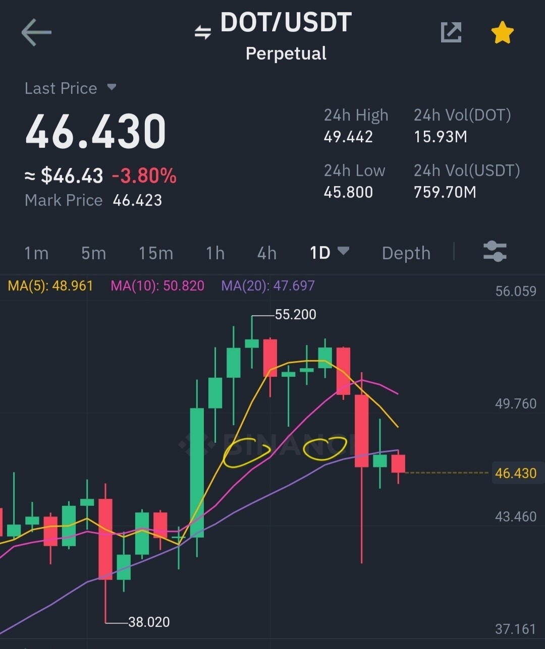 블라인드 | 암호화폐: 폴카닷 검은고양이 떴었네