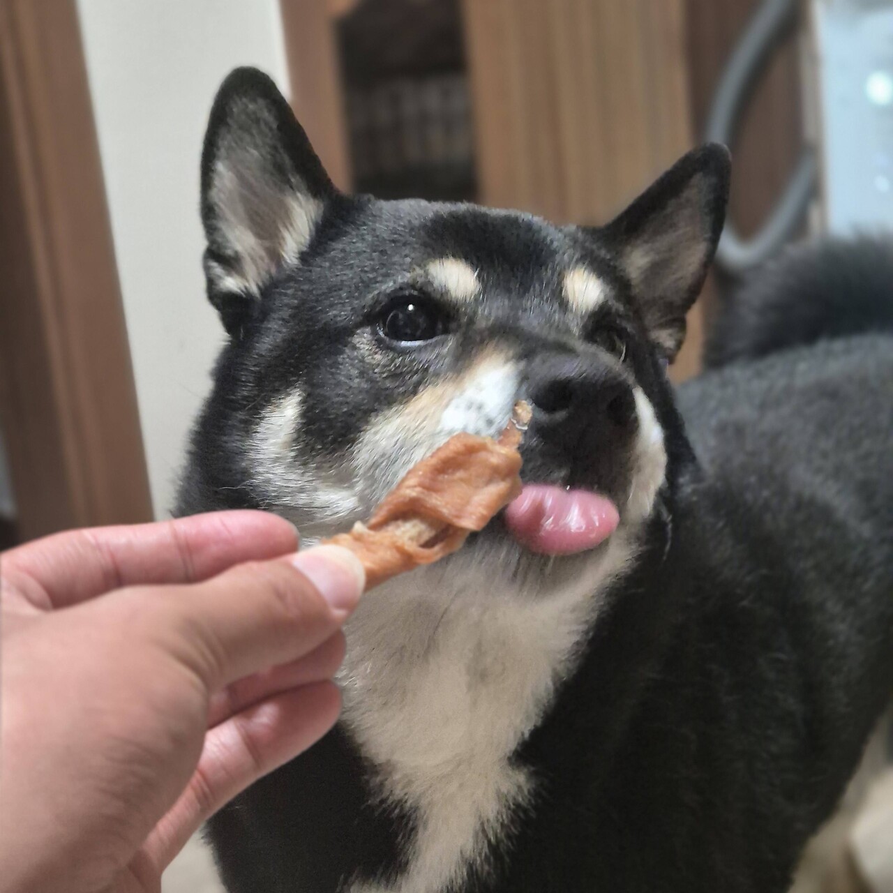블라인드 | 블라블라: 까까타임