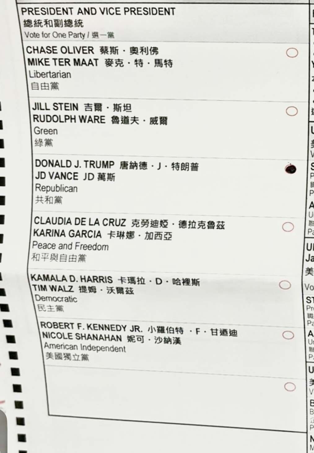 Voted Trump 2024 Presidential Election Blind