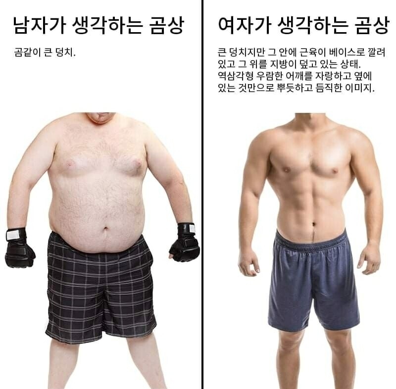 블라인드 | 헬스·다이어트: 곰상