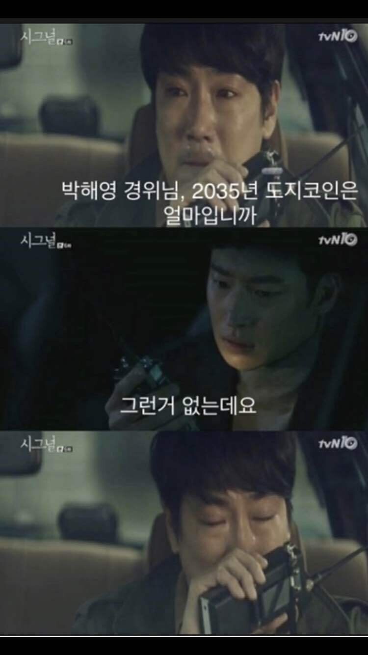 블라인드 | 주식·투자: 시그널 도지코인 ver.