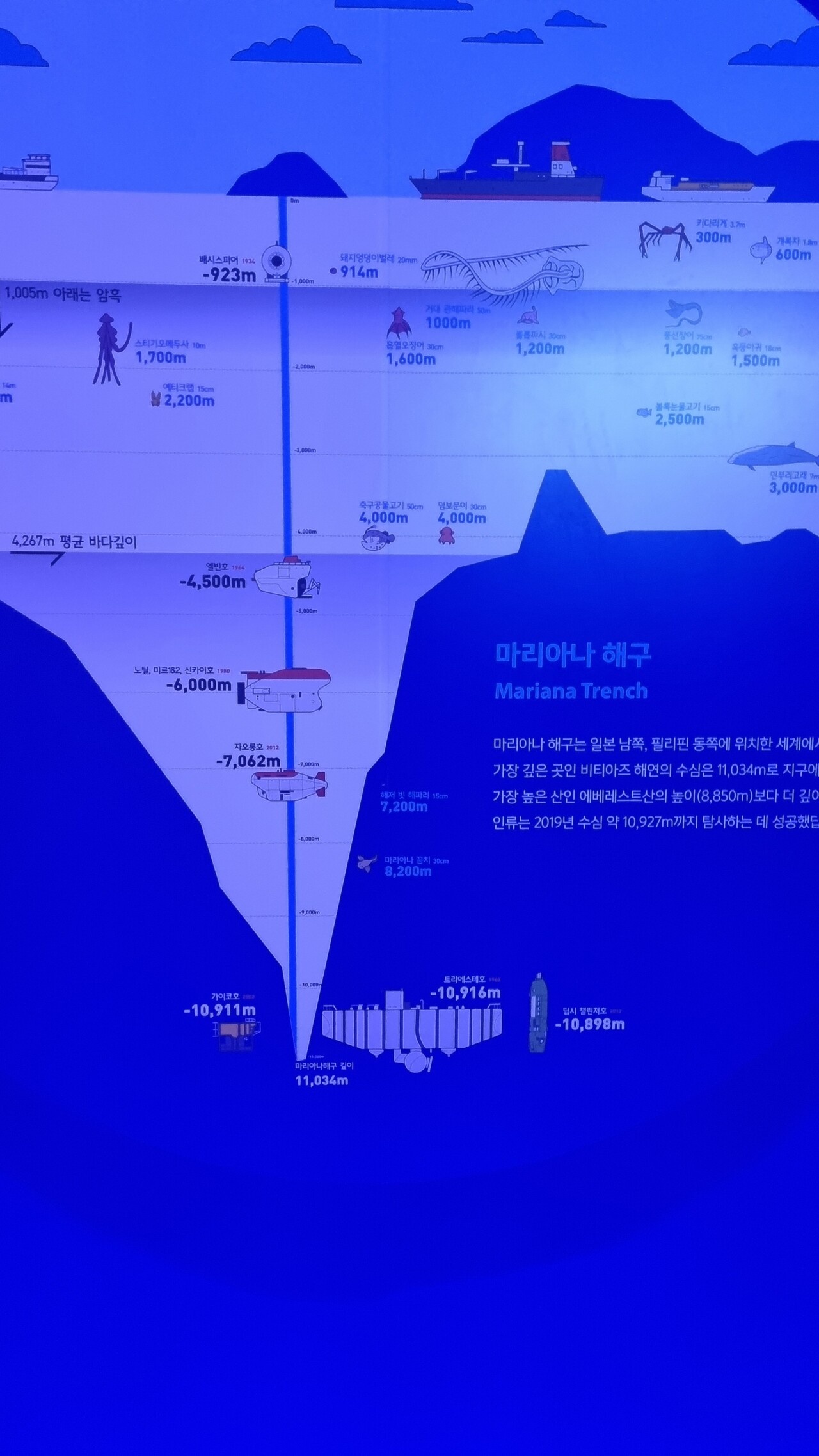 블라인드 | 주식·투자: 내 차트 = 마리아나해구