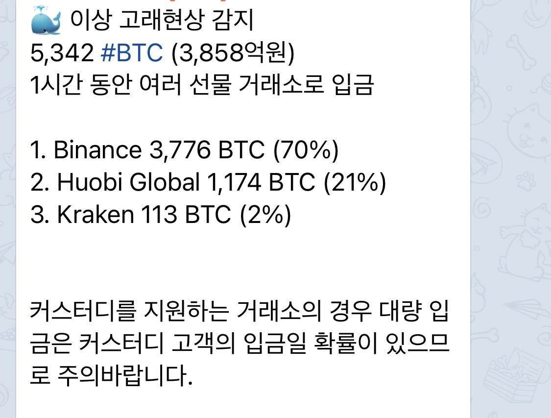 블라인드 | 암호화폐: 이거 비트떡락징조임?..고래지갑