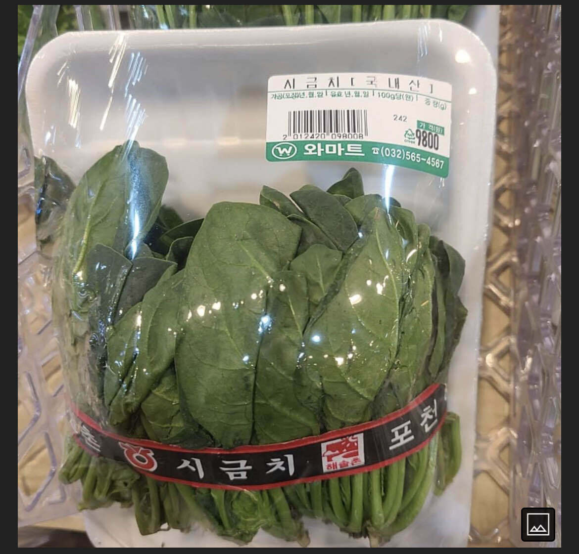 블라인드 | 암호화폐: 시금치코인 떡상중