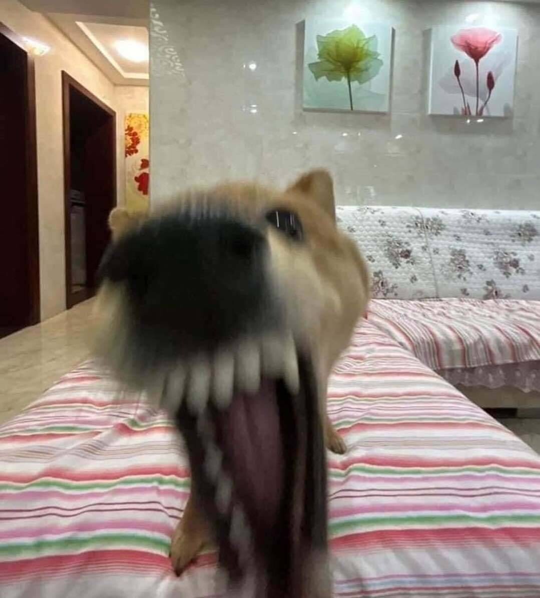 블라인드 | 암호화폐: 리플 트론같은 송금코인 이제필요한가요?