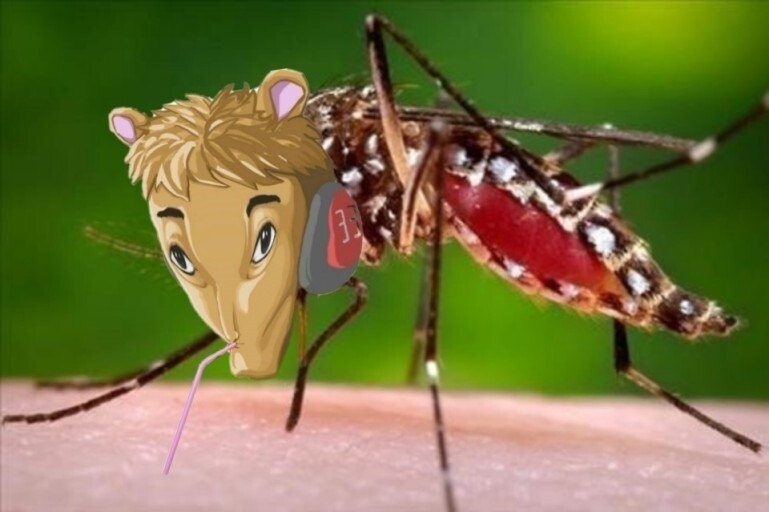 블라인드 | 블라블라: 팬치 있는지 확인해볼가~?