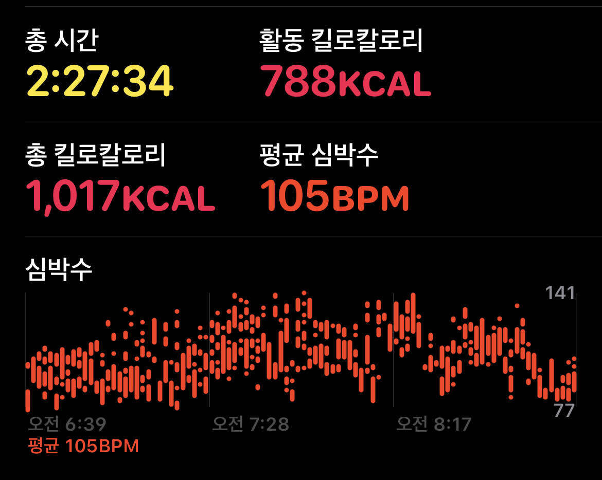 🤦🏻다이어트 28일차 (등/후면어깨) +🐱