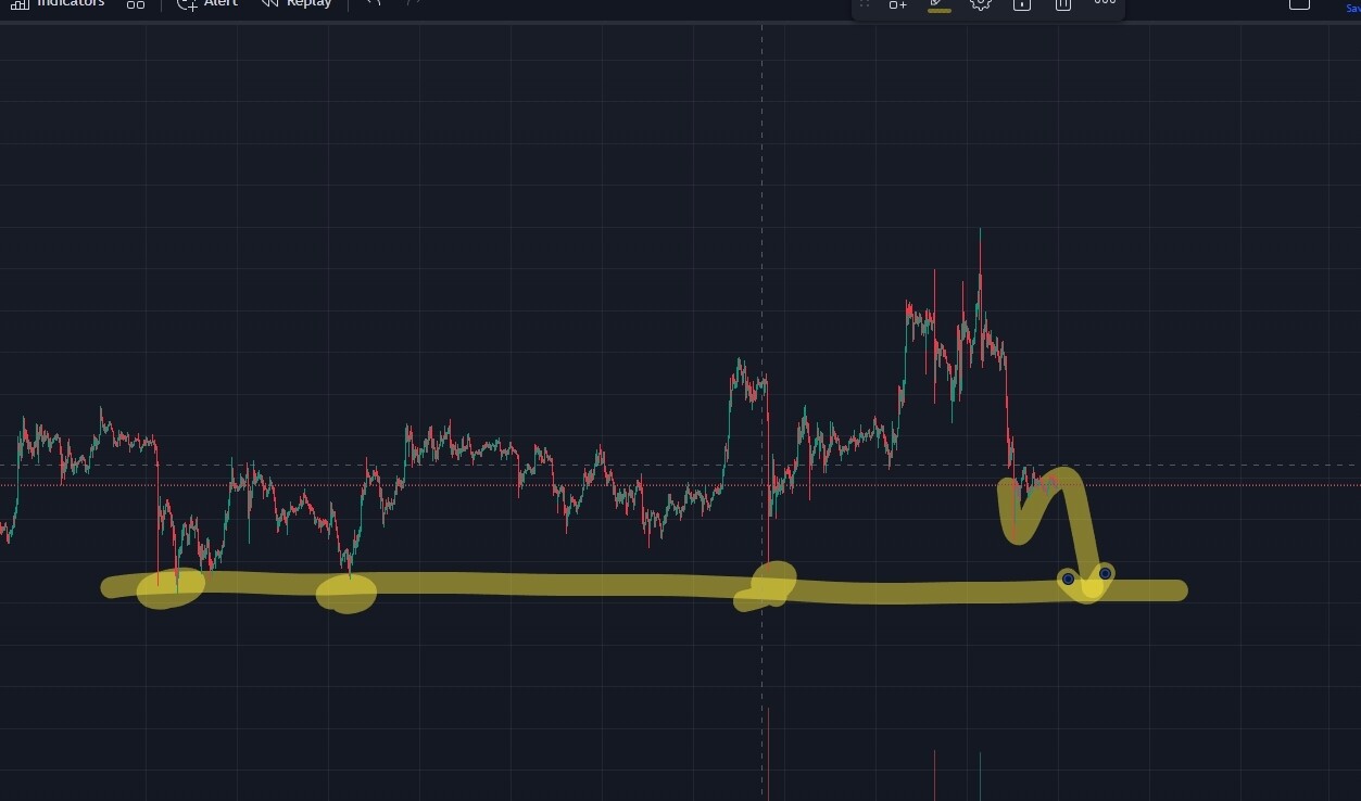 블라인드 | 암호화폐: 비트 전망