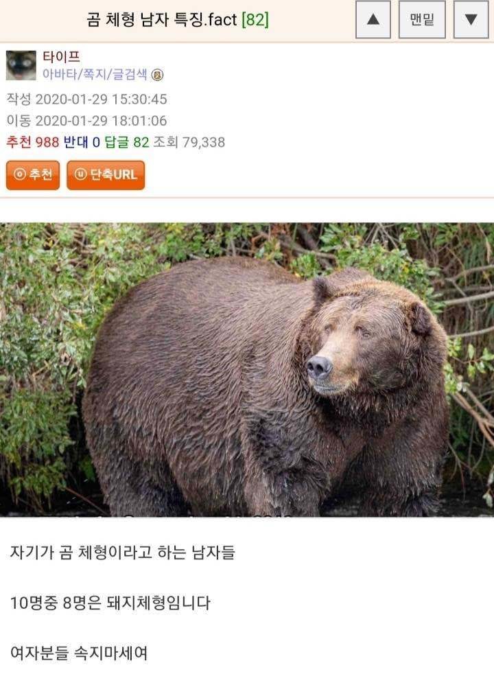 블라인드 | 블라블라: 곰같은 남자
