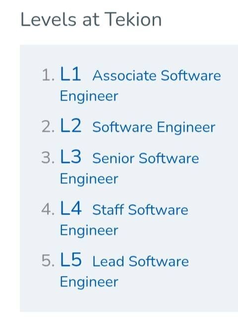 What are the career levels at Tekion? | Tech Industry - Blind